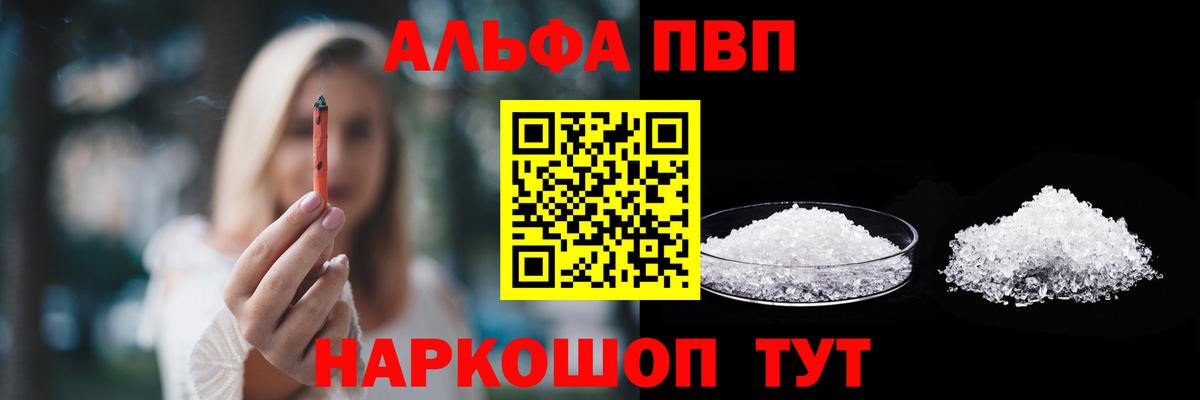 Альфа ПВП СК Великий Новгород