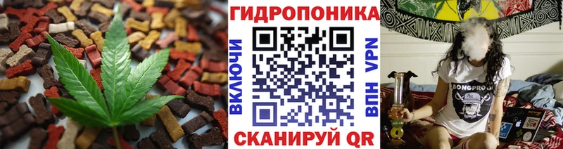 наркотики Великий Новгород Canna-Cookies марихуана