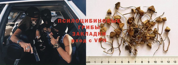 сатива Абаза
