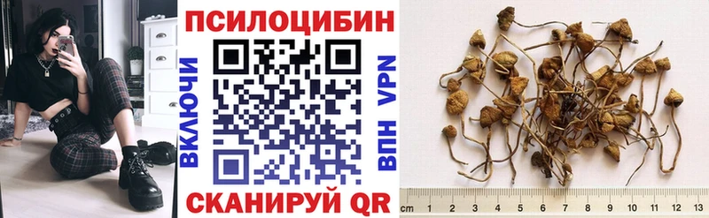 Псилоцибиновые грибы прущие грибы  Великий Новгород 